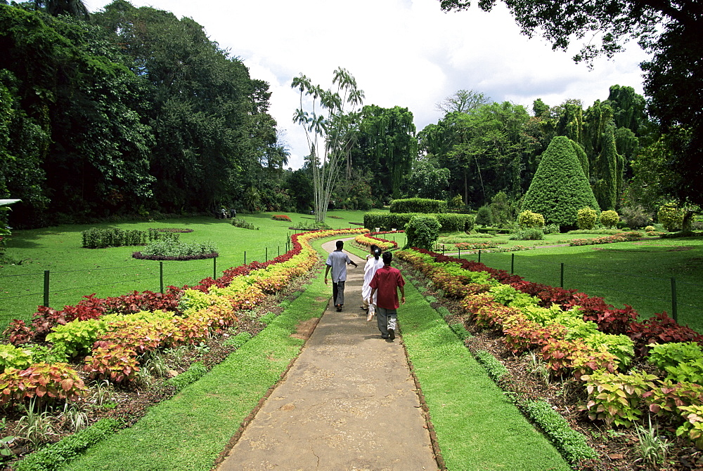 Peradeniya Botanical Gardens, Kandy, Sri Lanka, Asia