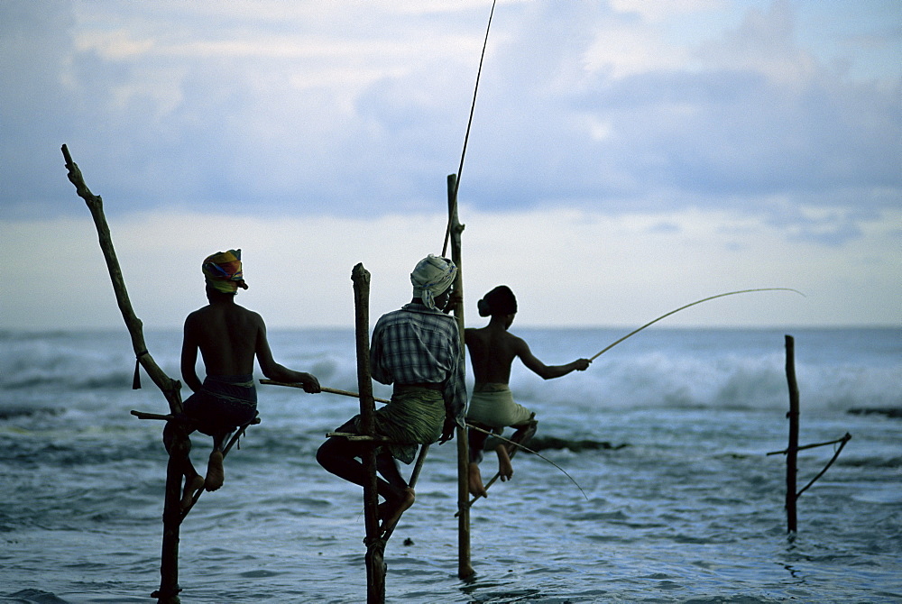 Stilt fishermen fishing from their poles between Unawatuna and Weligama, Sri Lanka, Indian Ocean, Asia