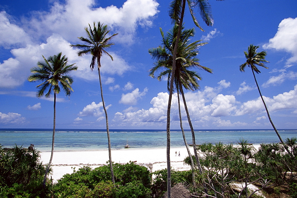 Matemwe beach, Zanzibar, Tanzania, East Africa, Africa