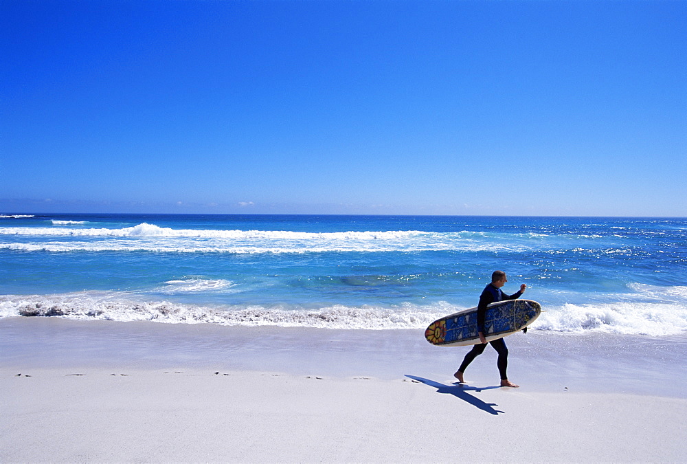 Surfer walking with his board on Kommetjie beach, Cape Town, South Africa, Africa