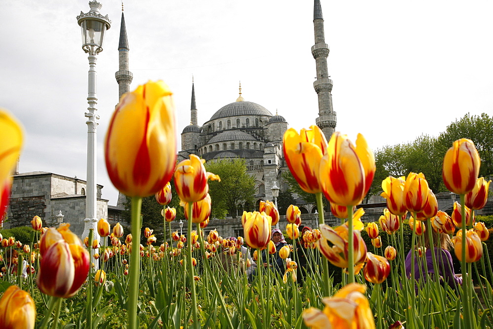 The Blue Mosque (Sultan Ahmet Camii), Istanbul, Turkey, Europe