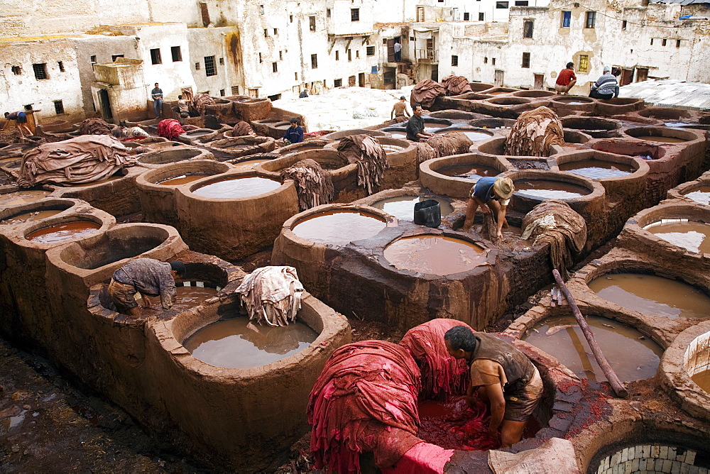 The tanneries souk in the Medina (old town), Fes el Bali, Fes, Morocco, North Africa, Africa