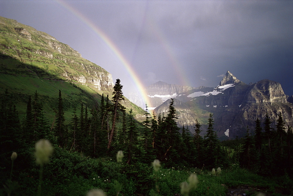 Double rainbow with bear grass in foreground, Hole in the Wall campground, Glacier National Park, Montana, United States of America (U.S.A.), North America