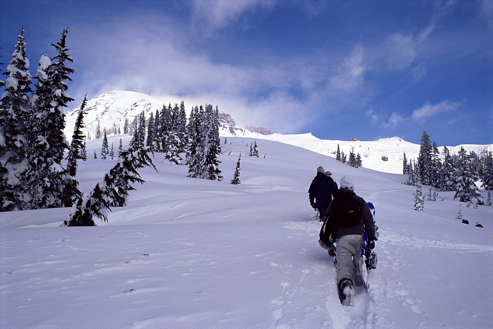 Snowboarders, Mount Rainier, Washington State, United States of America (U.S.A.), North America