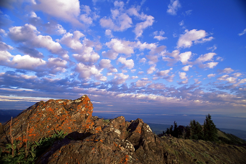 Rocks covered with lichen, Deer Park, Olympic National Park, UNESCO World Heritage Site, Washington State, United States of America (U.S.A.), North America