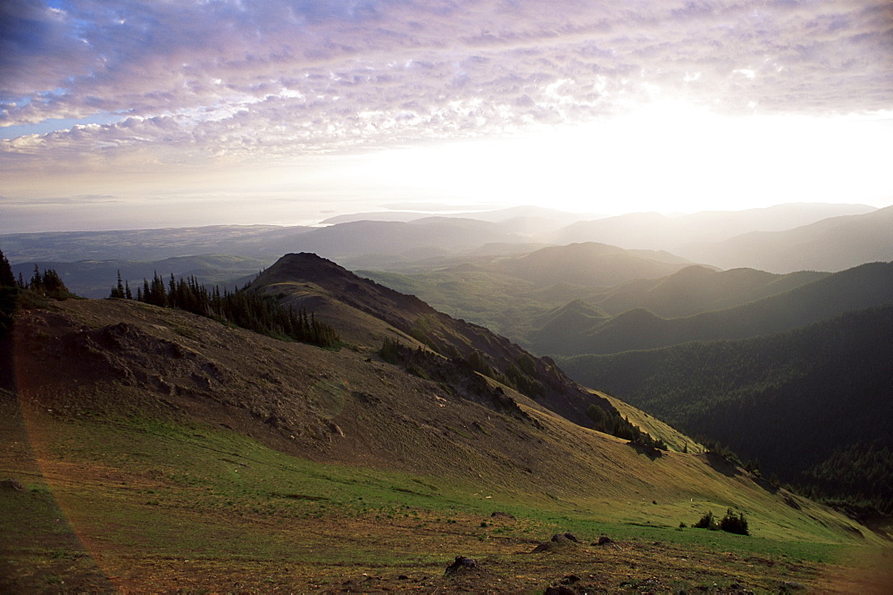 Looking east from the Deer Park, Olympic National Park, UNESCO World Heritage Site, Washington State, United States of America, North America