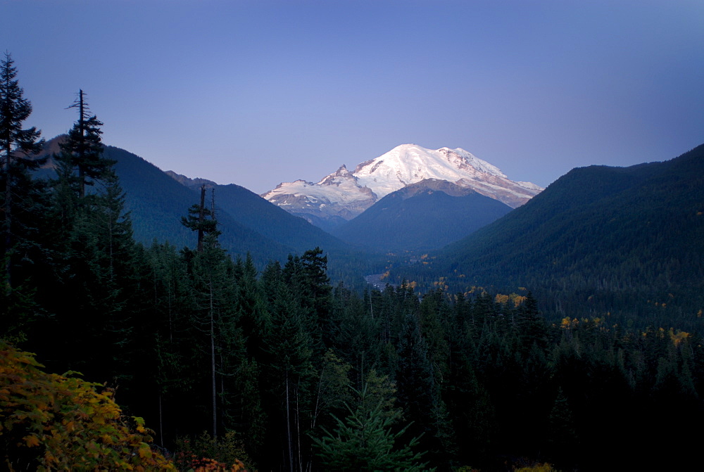 Mt. Rainier at dawn, autumn color in the lower valley, and White River in distance, Washington State, United States of America, North America