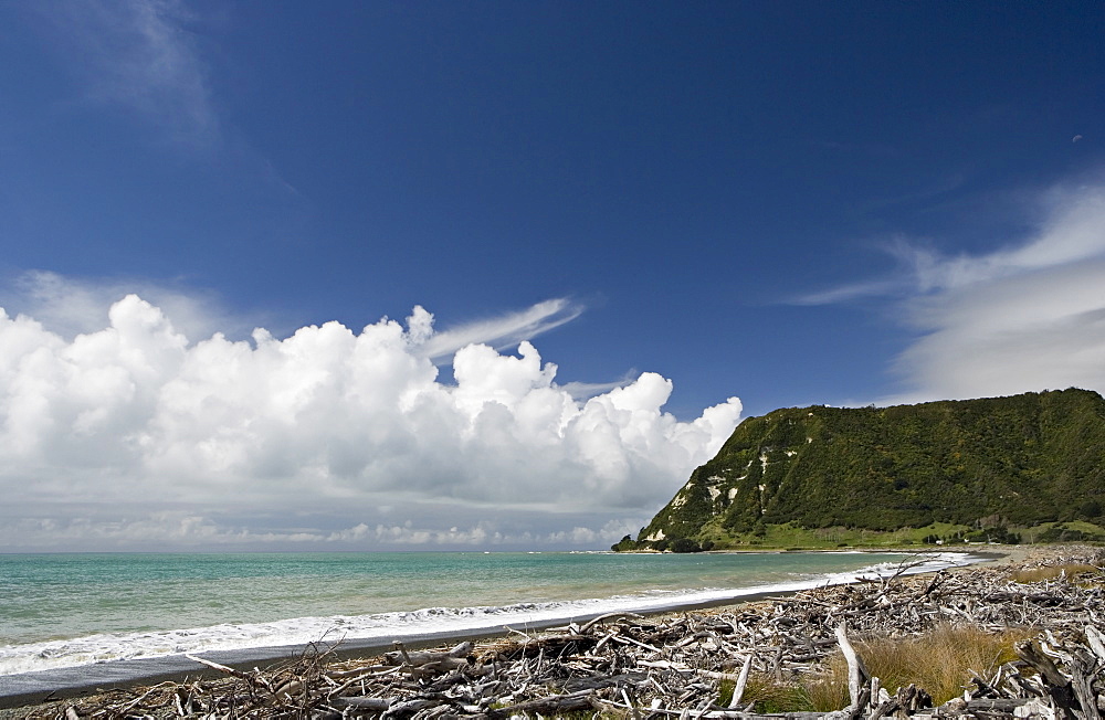 View over driftwood and beach from the isolated town of Te Araroa, on the Pacific Coast Highway, North Island, New Zealand, Pacific