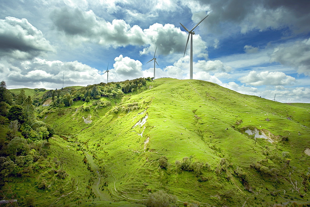 Te Apiti Wind Farm, on the lower Ruahine Ranges, near Palmerston North, Manawatu, North Island, New Zealand, Pacific