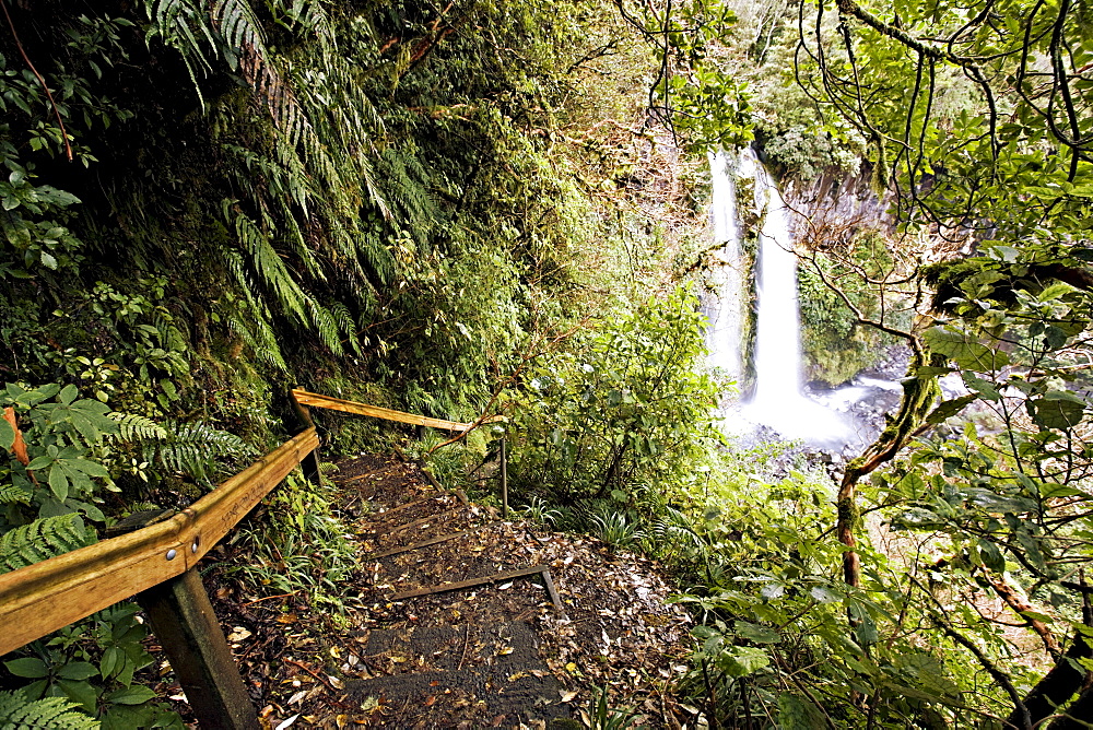 Dawson Falls, Egmont National Park, Taranaki, North Island, New Zealand, Pacific