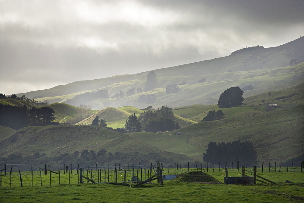 Winter mist and stormy weather, rural pasture and farmland, Ruahine ranges, Manawatu, North Island, New Zealand, Pacific