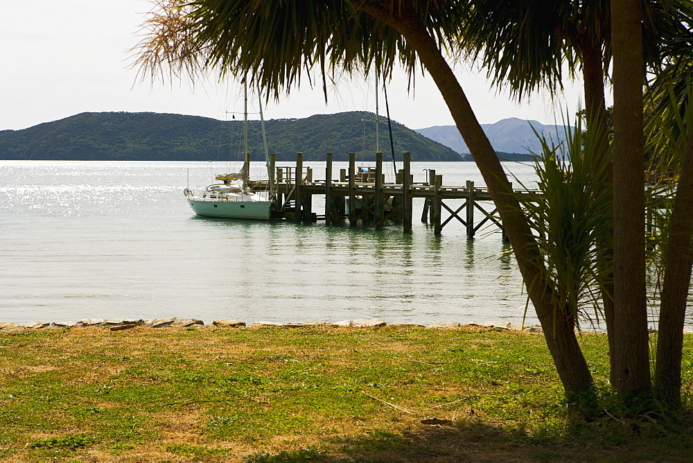 Rented sailing yacht moored alongside the jetty at Ships Cove, Marlborough Sounds, South Island, New Zealand, Pacific