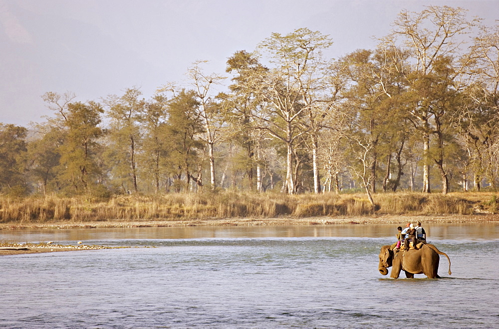 Guests at the Island Jungle Resort hotel take an elephant safari across a river, Royal Chitwan National Park, the Terai, Nepal, Asia