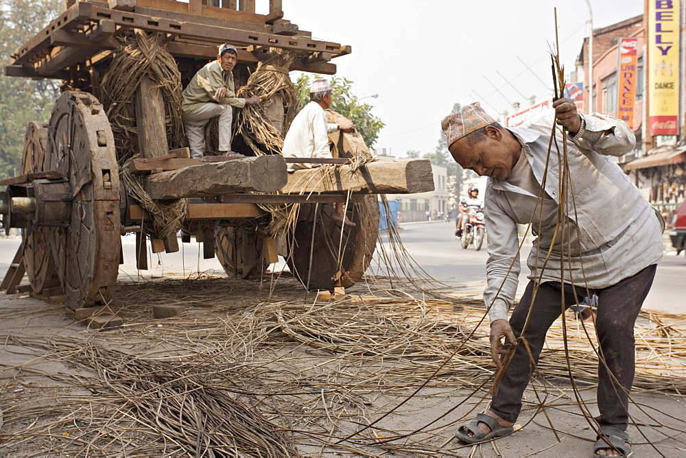 Man in topi hat takes part in the annual construction of a chariot to be hauled around the streets by participants in a religious festival, Kathmandu, Nepal, Asia