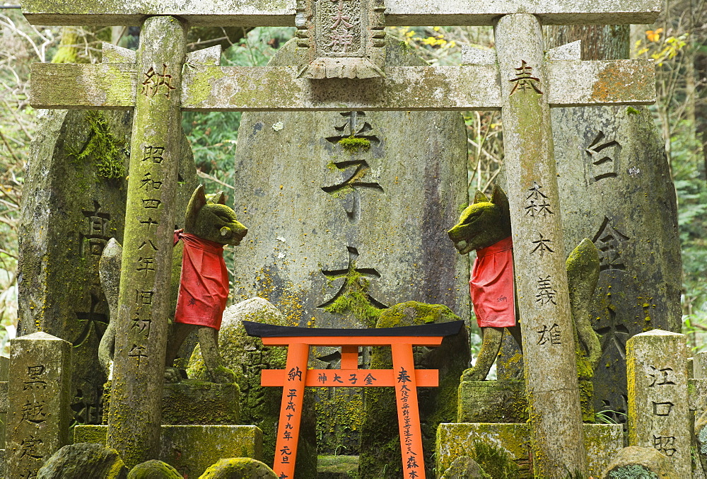 Fushimi Inari-taisha Shrine, Kyoto, Kansai (Western Province), Honshu, Japan, Asia