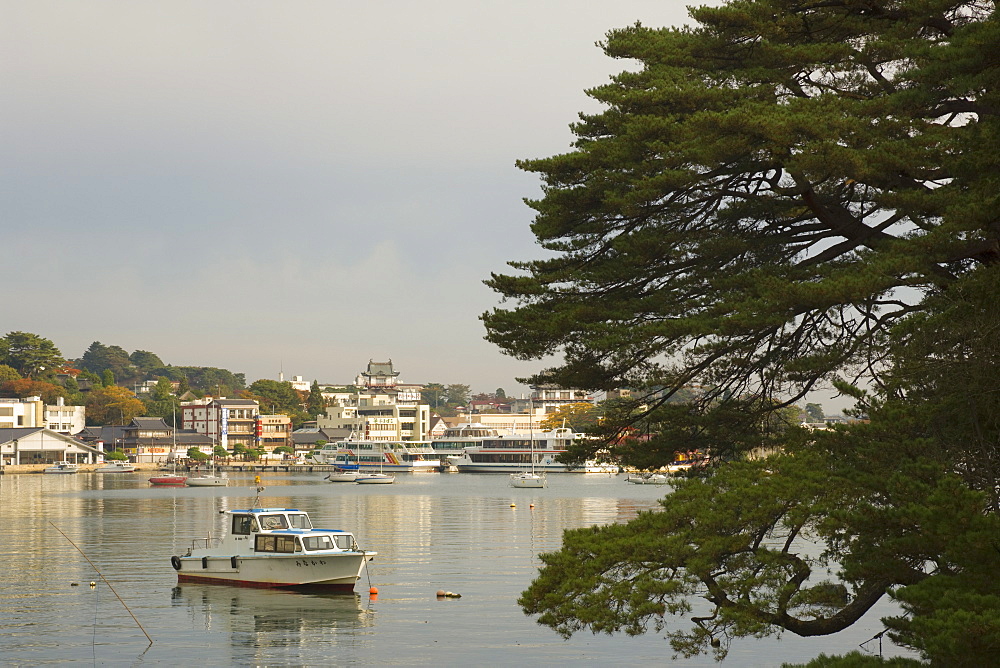 Matsushima Bay, Northern Honshu (Tohoku), Japan, Asia