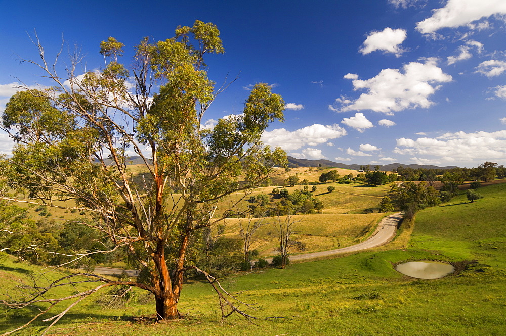 Farmland, Buchan, Victoria, Australia, Pacific