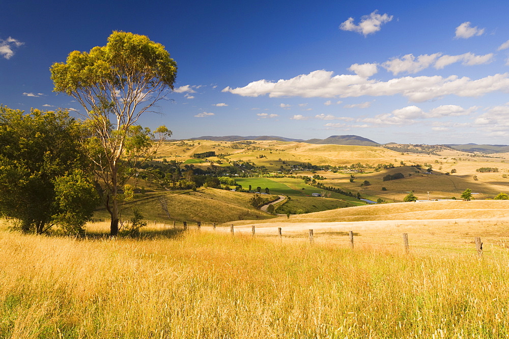 Farmland, Buchan, Victoria, Australia, Pacific