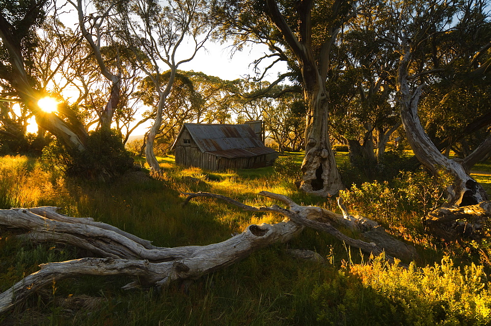 Wallace's Hut, Bogong High Plains, Apline National Park, Victoria, Australia, Pacific