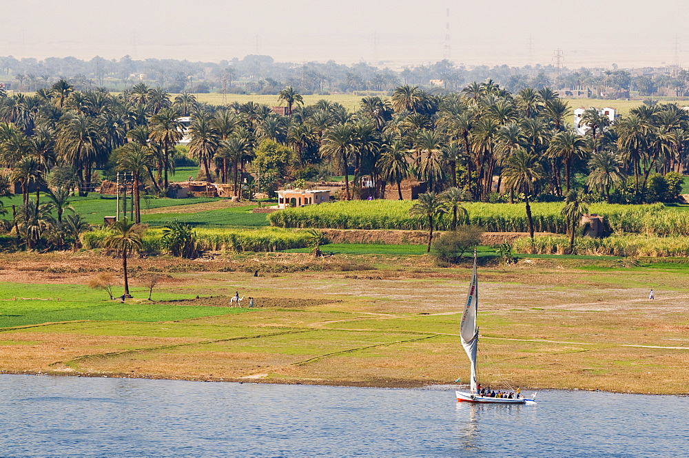 The Nile, Luxor, Thebes, Middle Egypt, Egypt, North Africa, Africa