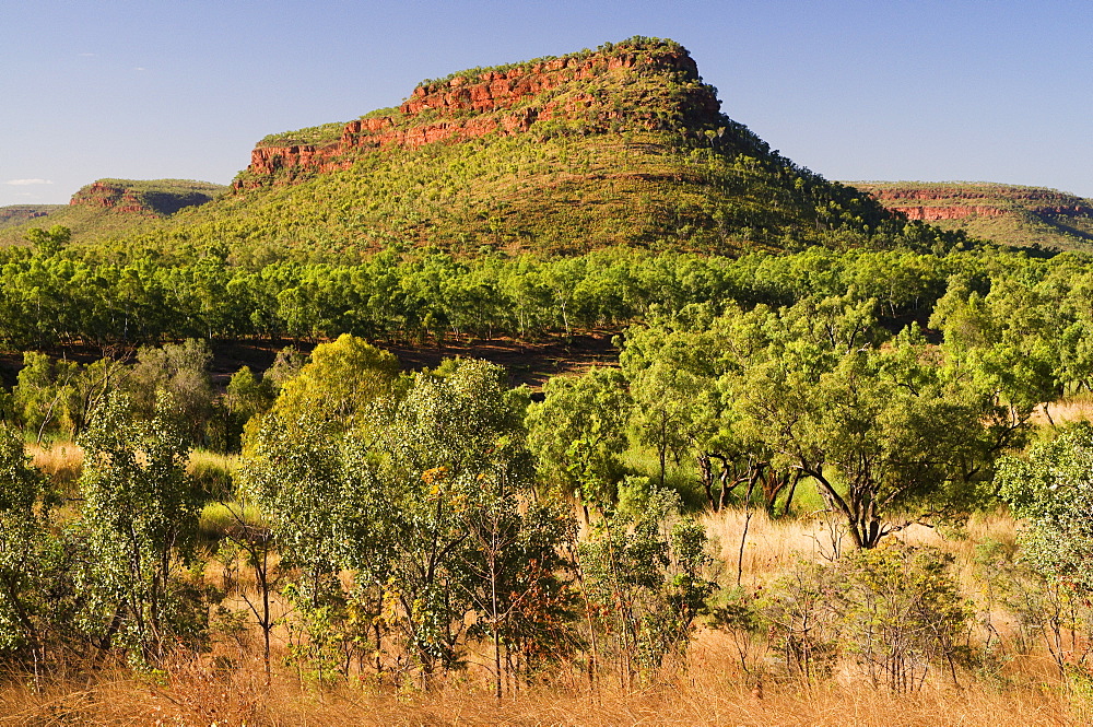 Newcastle Range, Gregory National Park, Northern Territory, Australia, Pacific