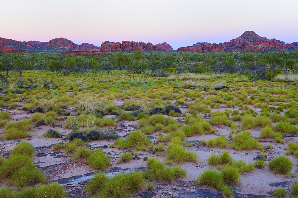 The Domes, Bungle Bungle, Purnululu National Park, UNESCO World Heritage Site, Kimberley, Western Australia, Australia, Pacific