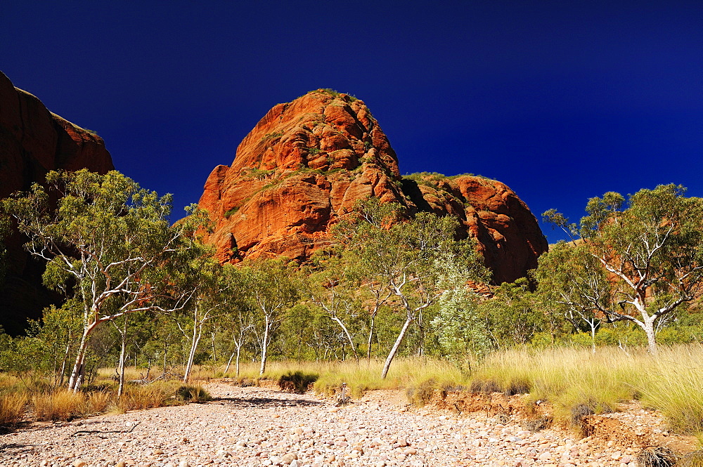 Bungle Bungle, Purnululu National Park, UNESCO World Heritage Site, Kimberley, Western Australia, Australia, Pacific