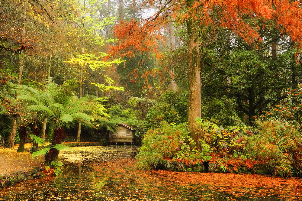 The boathouse, Alfred Nicholas Gardens, Dandenong Ranges, Victoria, Australia, Pacific