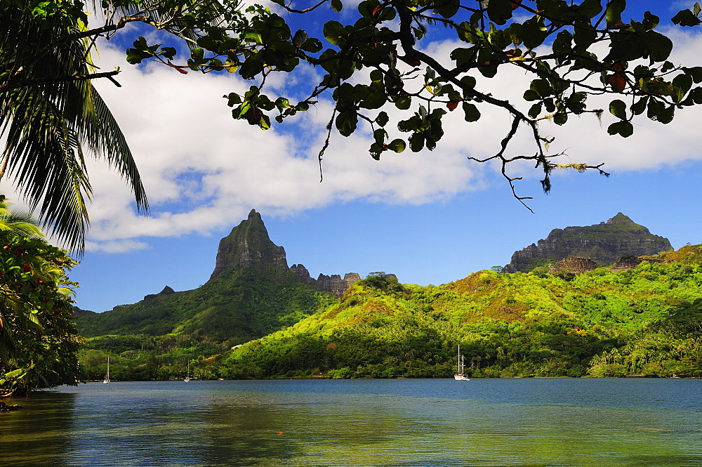 Opunohu Bay and Mount Mauaroa, Moorea, French Polynesia, South Pacific Ocean, Pacific