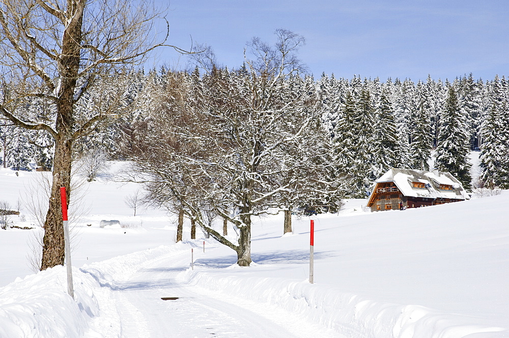 The Black Forest in winter, near Schoenwald, Baden-Wurttemberg, Germany, Europe