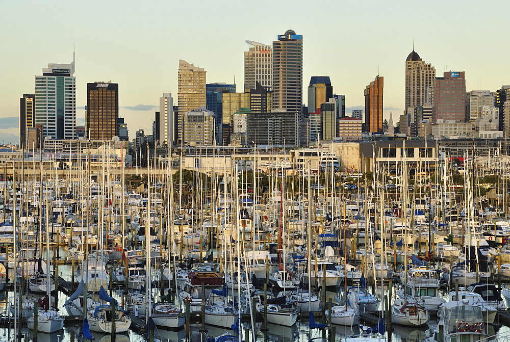 Westhaven, Waitemata Harbour, Auckland, North Island, New Zealand, Pacific