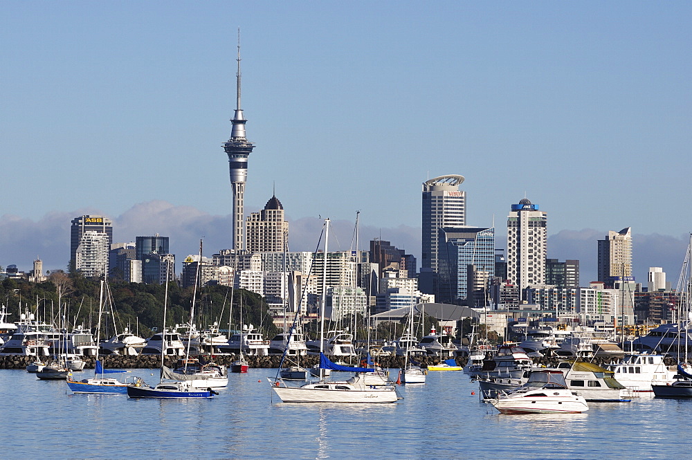 Okahu Bay and skyline, Auckland, North Island, New Zealand, Pacific