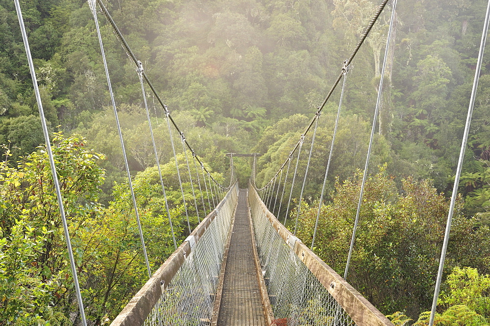 Swingbridge, Motu Falls, Motu, Gisborne, North Island, New Zealand, Pacific