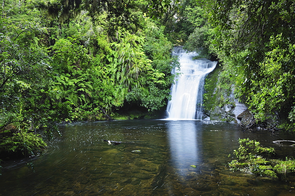 Bridal Veil Falls, Te Urewera National Park, Bay of Plenty, North Island, New Zealand, Pacific