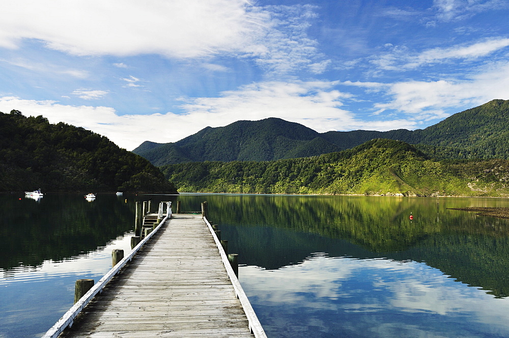 Penzance Bay, Tennyson Inlet, Marlborough Sounds, Marlborough, South Island, New Zealand, Pacific