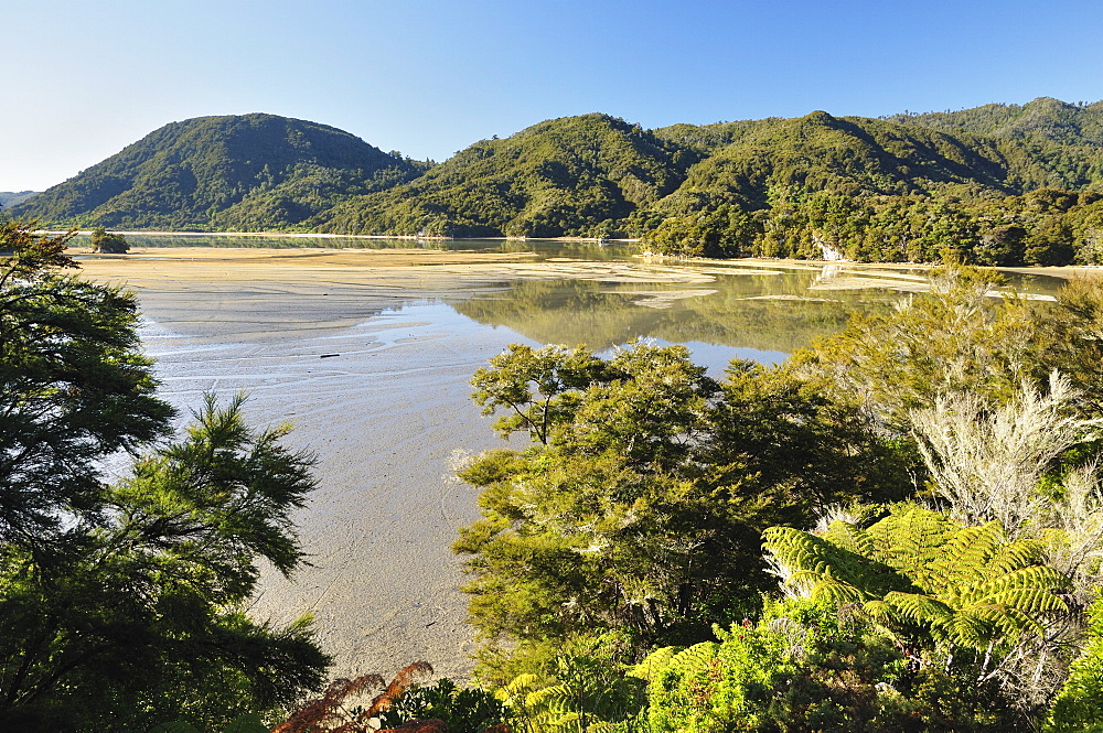 Awaroa Inlet, Abel Tasman National Park, Tasman, South Island, New Zealand, Pacific