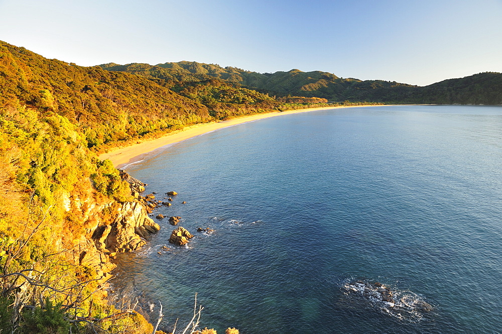 Totaranui Beach, Abel Tasman National Park, Tasman, South Island, New Zealand, Pacific