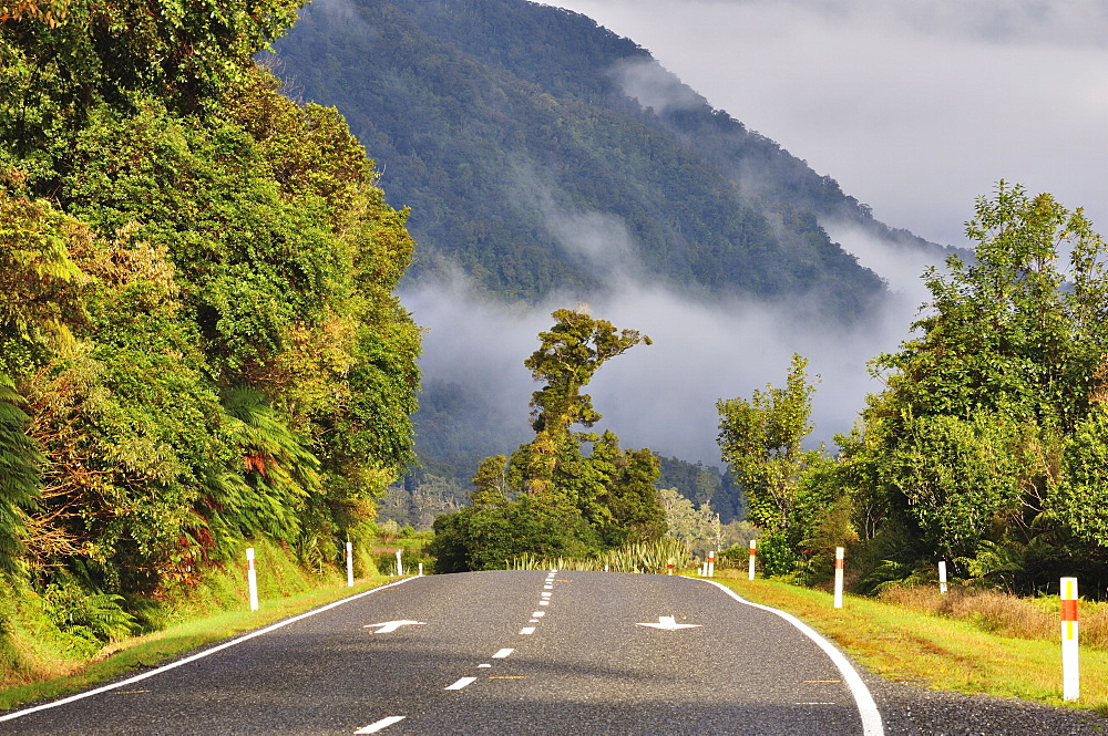 Haast Highway, West Coast, South Island, New Zealand, Pacific