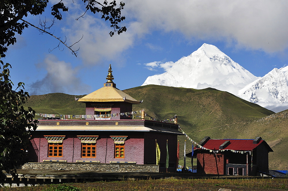 Muktinath and Dhaulagiri Himal, Muktinath Valley, Annapurna Conservation Area, Mustang District, Dhawalagiri (Dhaulagiri), Western Region (Pashchimanchal), Nepal, Asia