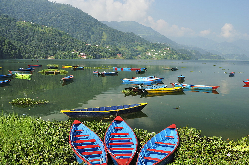 Phewa Tal (Phewa Lake), Pokhara, Gandaki, Western Region (Pashchimanchal), Nepal, Asia