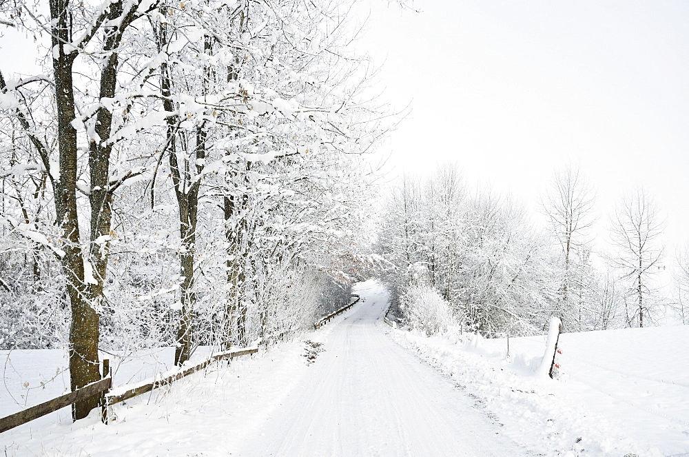 Winter landscape, near Villingen-Schwenningen, Black Forest-Baar (Schwarzwald-Baar) district, Baden-Wurttemberg, Germany, Europe