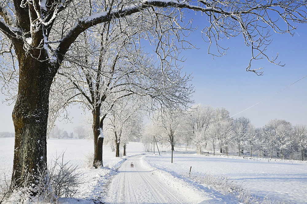 Winter landscape, near Villingen-Schwenningen, Black Forest-Baar (Schwarzwald-Baar) district, Baden-Wurttemberg, Germany, Europe