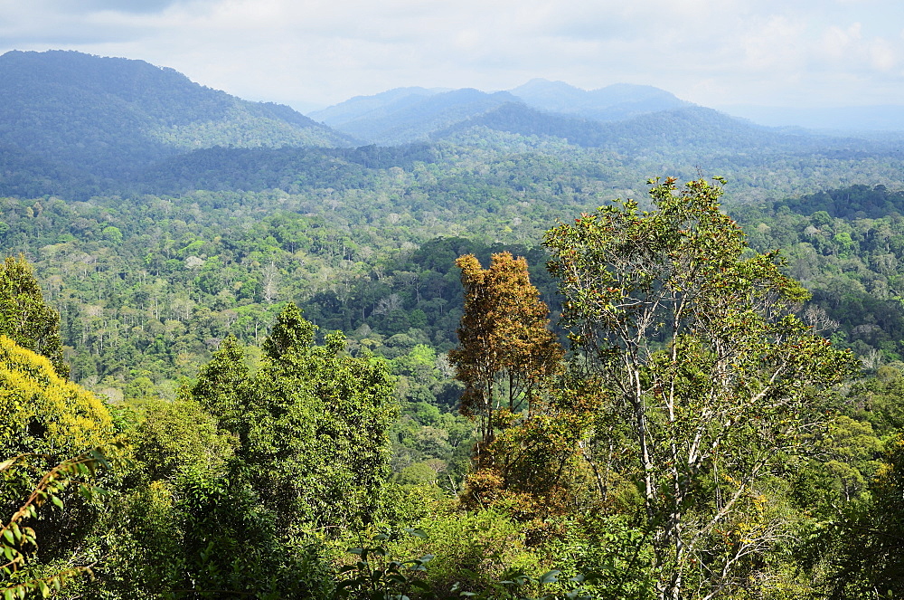 View of Taman Negara National Park from Bukit Teresek, Pahang, Malaysia,Southeast Asia, Asia