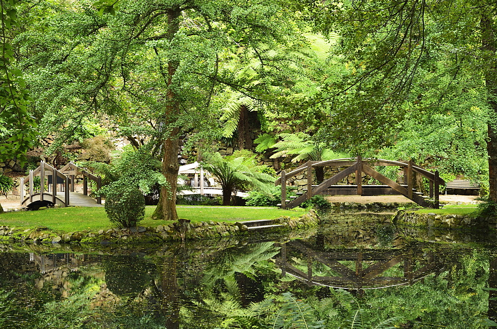 Alfred Nicholas Gardens, Dandenong Ranges National Park, Dandenong Ranges, Victoria, Australia, Pacific