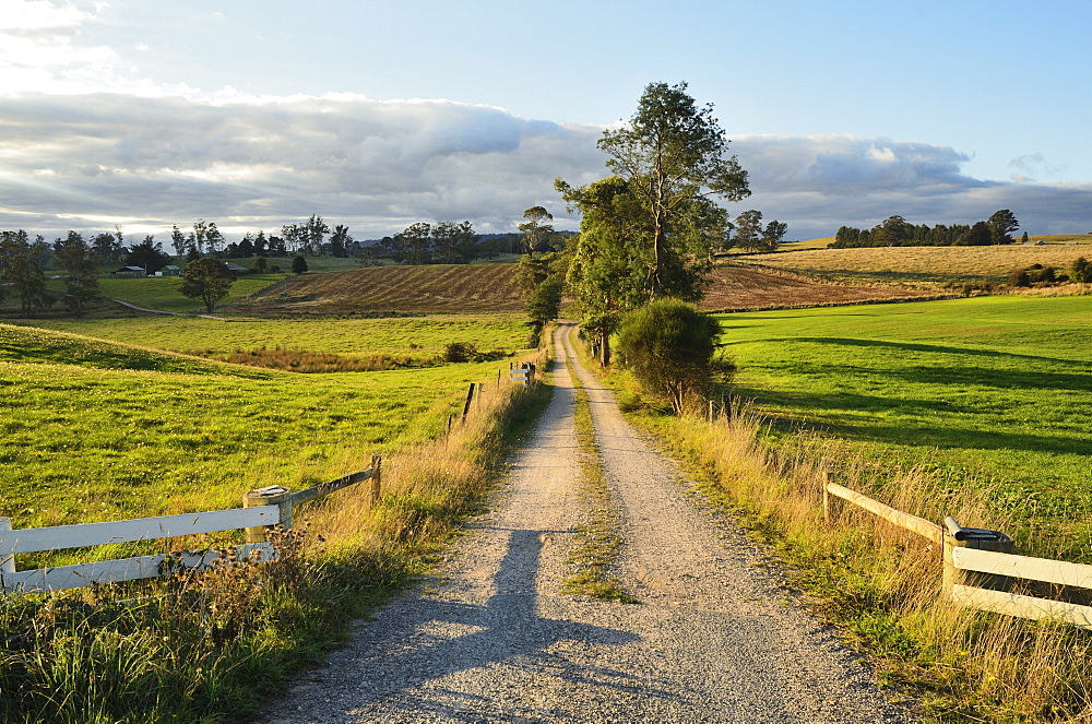 Rural road near Deloraine, Tasmania, Australia, Pacific