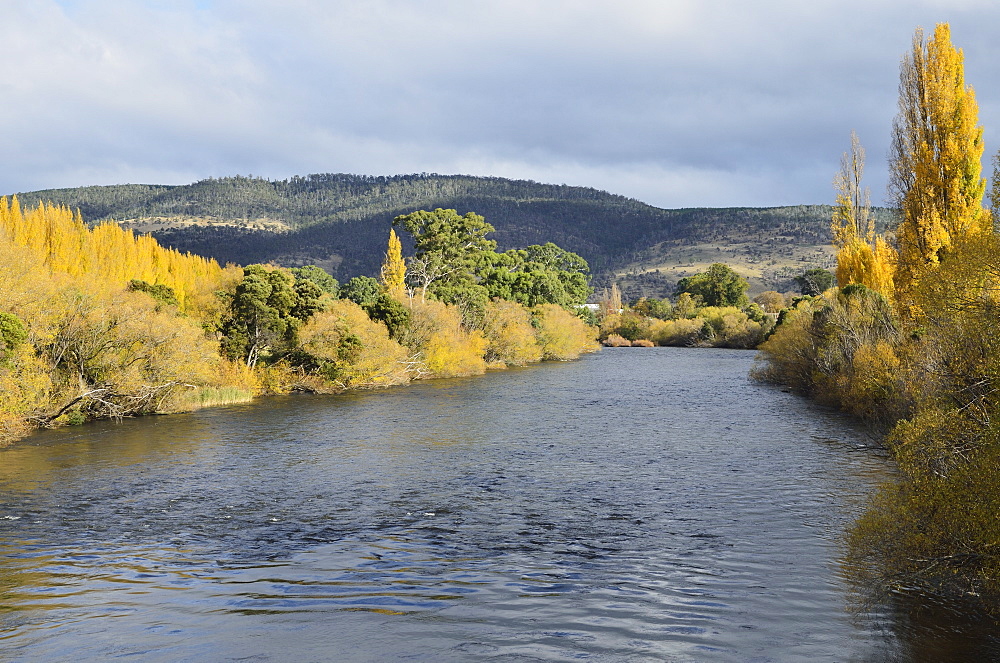 River Derwent, Bushy Park, Tasmania, Australia, Pacific