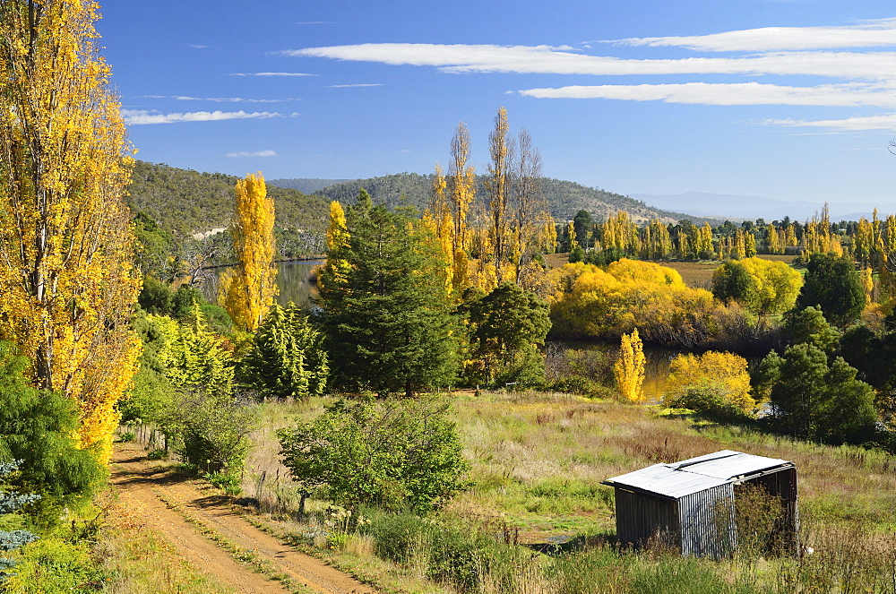 Countryside in fall, Derwent Valley, near New Norfolk, Tasmania, Australia, Pacific