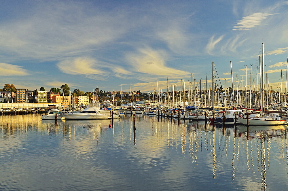 Sandy Bay, Hobart, Tasmania, Australia, Pacific