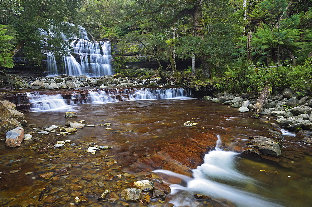 Liffey Falls, UNESCO World Heritage Site, Tasmania, Australia, Pacific