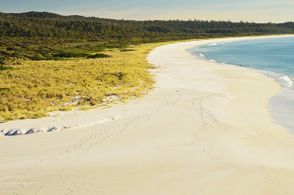 Beach at Sloop Lagoon, Bay of Fires, Bay of Fires Conservation Area, Tasmania, Australia, Pacific